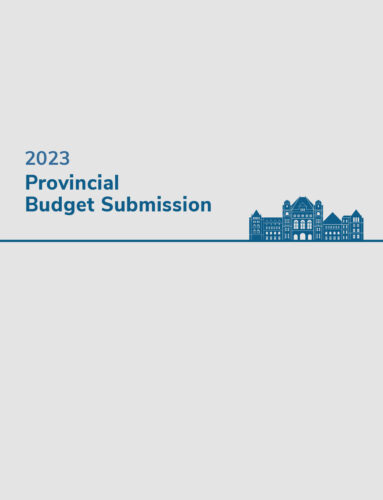 2021 provincial budget submission.