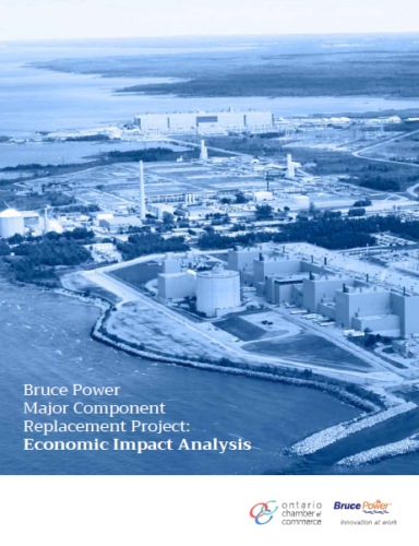 Brazil power plant replacement project economic impact analysis.
