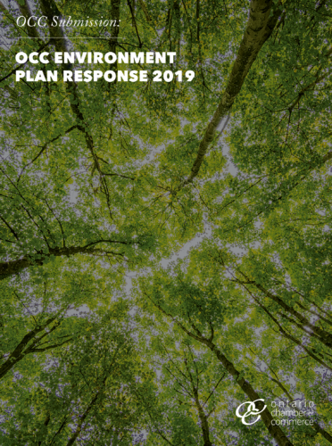 The cover of the acc environmental plan response 2019.