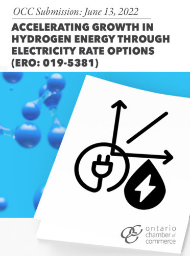 Accelerating growth in hydrogen energy through electricity rate options.