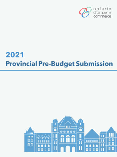 2021 provincial pre - budget submission.