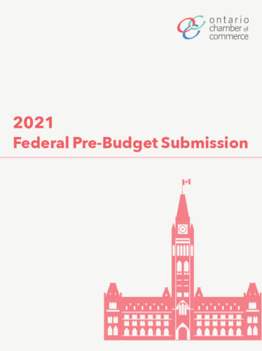 Federal pre-budget submission 2021.