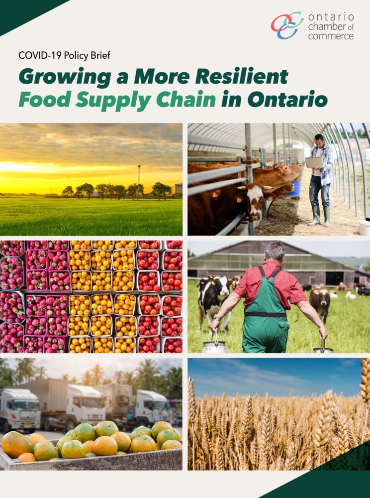 Covid a more resilient food supply chain in ontario.