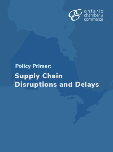 Policy primer supply chain disruptions and delays.