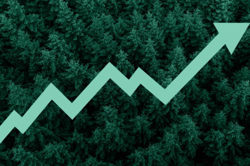 A green arrow pointing up over a forest of trees.