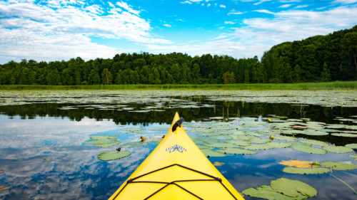 Photograph of a kayak in a pond.