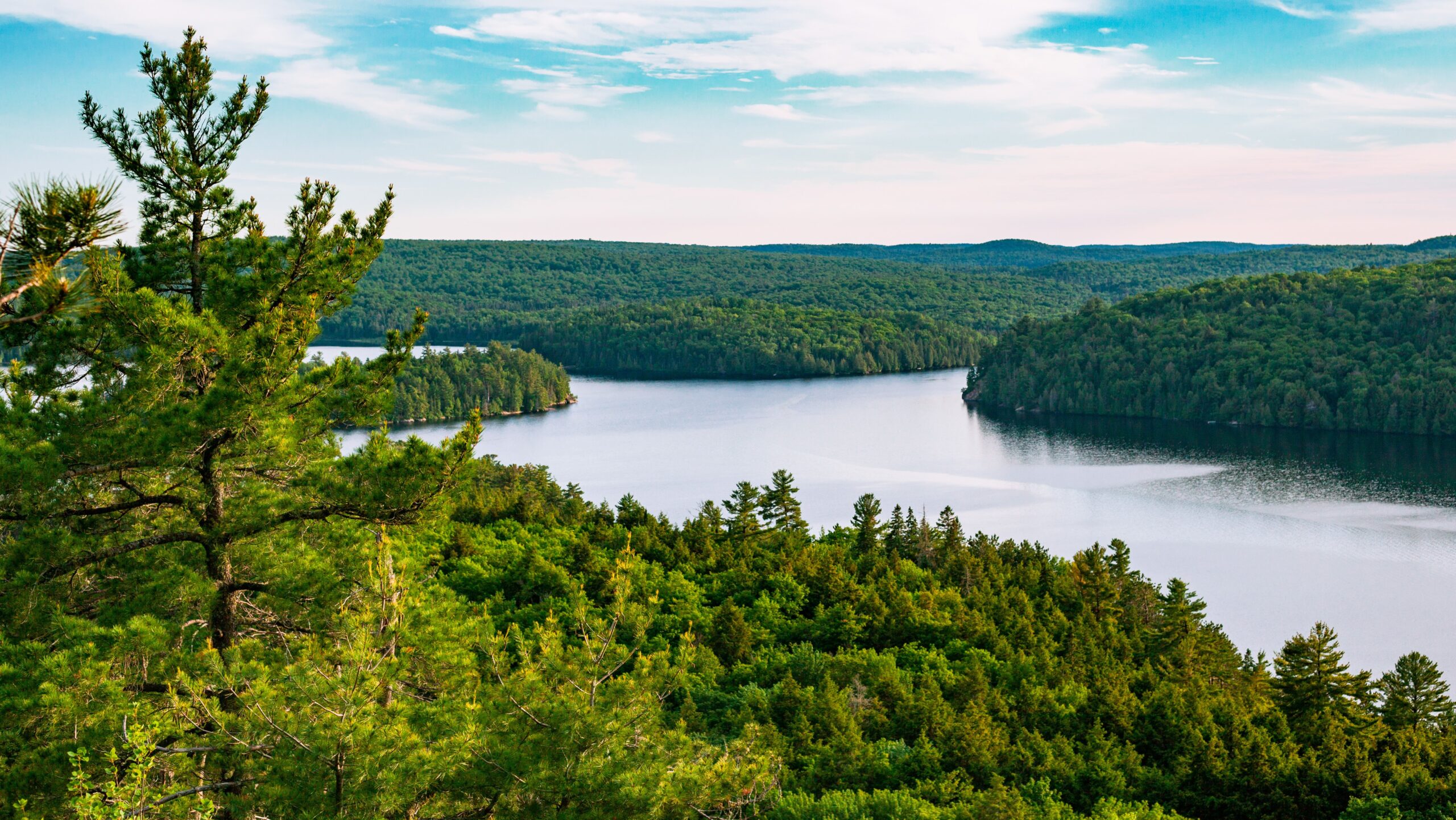 Unleashing Ontario’s Green Potential: Calling for Predictability and ...