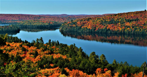The,Beautiful,Colors,Of,Autumn,Around,Rock,Lake,In,Algonquin