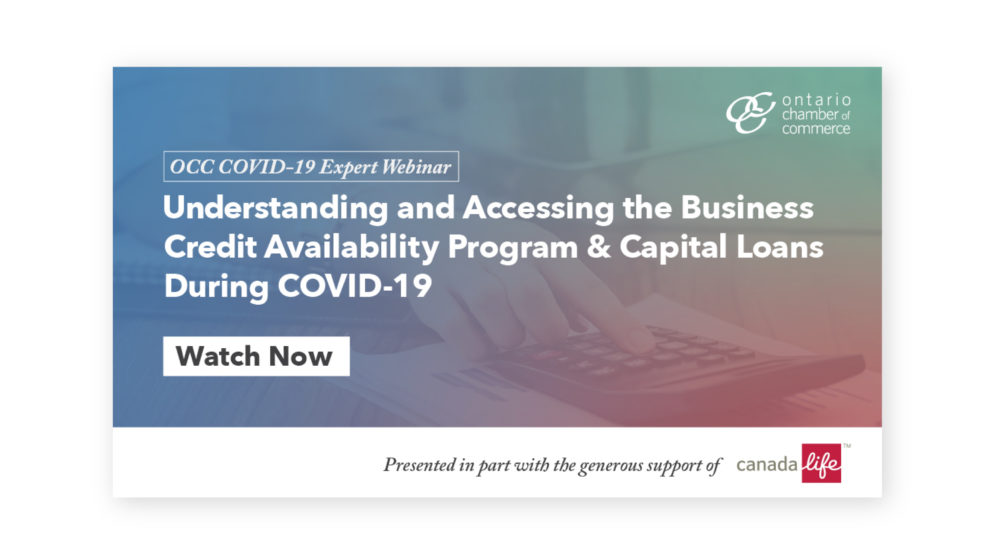 Understanding and accessing the business credit availability program during capital loan covid.